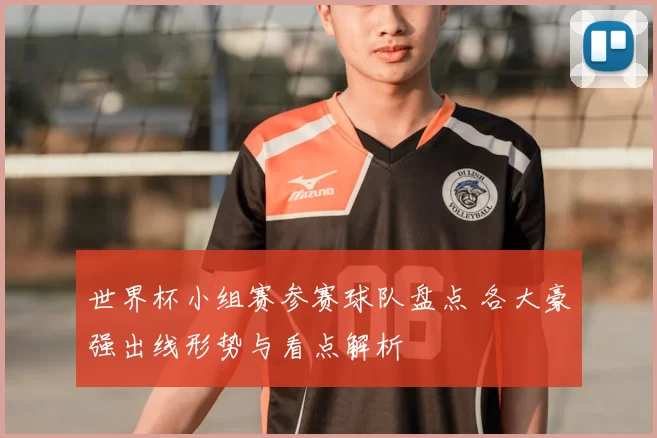 世界杯小组赛参赛球队盘点 各大豪强出线形势与看点解析