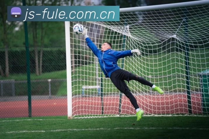 九游j9官方官网服务体系